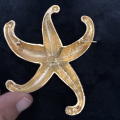 Les Bernard STARFISH ABSTRACT VINTAGE Brooch Pin Large SIGNED 3.5”