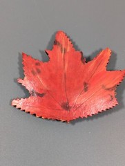 Vintage Painted Wood Red Orange Fall Autumn Maple Leaf Curved Pin