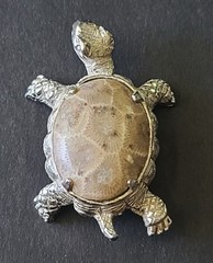 Vintage Petoskey Stone Silvertone Turtle Tortoise Brooch Pin Fossilized Coral