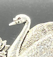 Vintage Silver Plated on Pewter Swan Brooch MASJ 98
