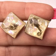 Rare 1960s Genuine Seahorse Confetti Lucite Domed Cuff Links-aquatic Sea Life