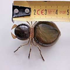 Vintage Spider Brooch Amber Color Resin. Made in the USSR