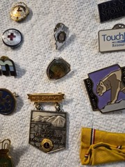 Large Vintage Pin Collection, Disney, Elk Lodge, Animals & More Lot Of 45