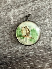 Victorian Era Double Sided Bird Feather MOP Pendant Ornate Frame