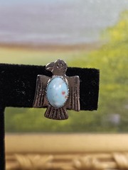 Vintage Silvertone Faux Turqouise Thunderbird Southwestern Style Screwback…