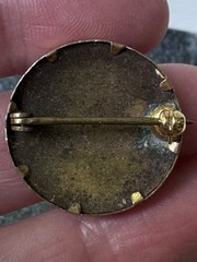 Antique Estate Sepia GIBSON GIRL Lady REAL Photo Portrait Brooch Pin Button, 1″
