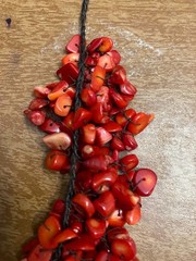 Vintage Single Strand Sliced Red Coral Bib Statement Bead Necklace -Adj