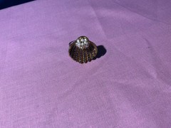 Vintage 1900’s Very Unusual Seed Pear & Amethyst Novelty Shell Clam Ring