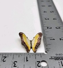 Amazing Realistic enamel Butterfly Brooch pin Estate Jewelry Insect