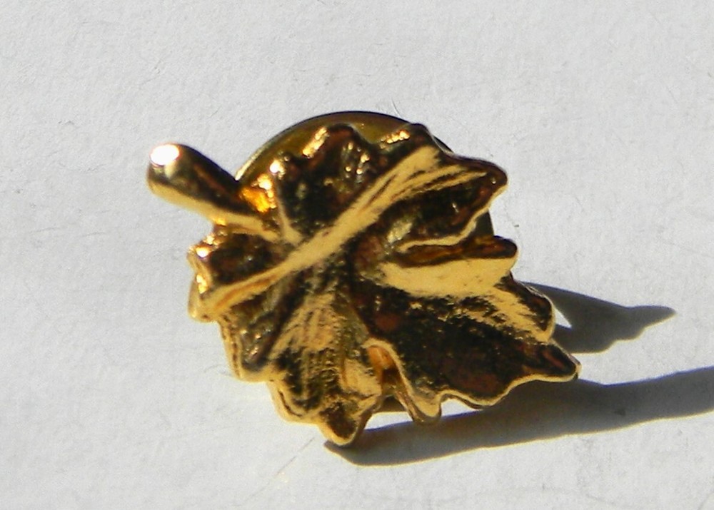 Fashion – Pin .5″ x .75″ Gold-Tone Leaf – 12