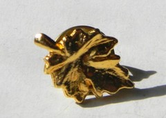 Fashion – Pin .5″ x .75″ Gold-Tone Leaf – 12