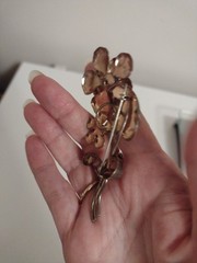 Vintage 195Os Sterling Silver Vermeil AT Rhinestone Flower Brooch Pin 4″ 17.3g