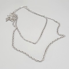 Sarah Coventry Long 2 Strand Chain Necklace Silver Tone Spring Ring Close Vtg