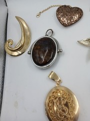 Mixed Jewelry Lot of Dragon Fly. Pendant. Butterfly Brooch Pin.