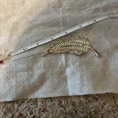 Silvertone Feather Pin, approx. 3.5 inches long—preowned in excellent condition!