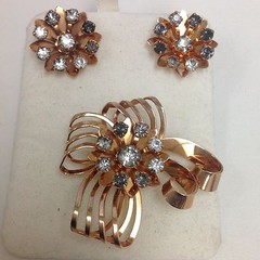 Bugbee&Niles (B .N) 1890-1940 Brooch/Pin a d screw back earrings 2013