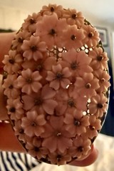 VTG Rare Miriam Haskell Unsigned Wired Gold Tone Celluloid Flowers Brooch Estate