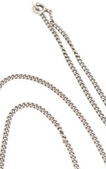 Victorian Antique Dik Dik Horn Necklace Pendant Sterling Silver Bezel And Chain