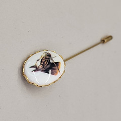 Vintage Horse Stick Pin Oval Acrylic Gold Tone 21mm