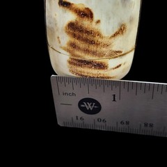 Vtg Brass & Genuine Bone Inlay Bangle Elephant Scrimshaw Pyrography Boho Safari