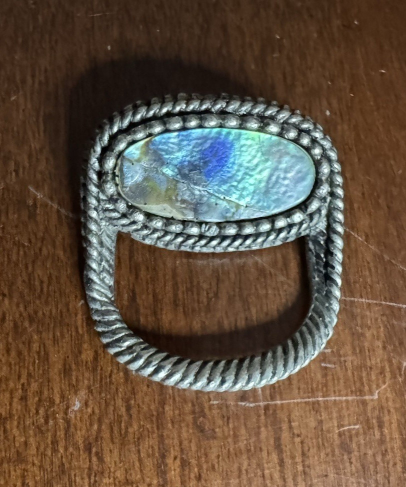 Vintage ~ Abalone Pin/Pendant Scarf Slide