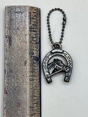 “Good Luck” Horseshoe Charm On Chain