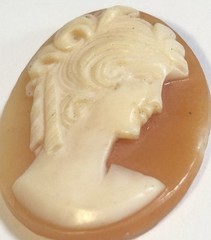 Vintage Shell Cameo 18mm X 23mm