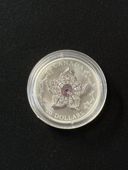 2025 Canada Williamson Diamond Brooch 1oz Silver Box & COA Item #334