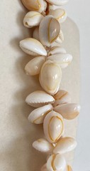 Vintage Cowrie Shell Necklaces 32″ Handmade Lei Single Strand Hawaii