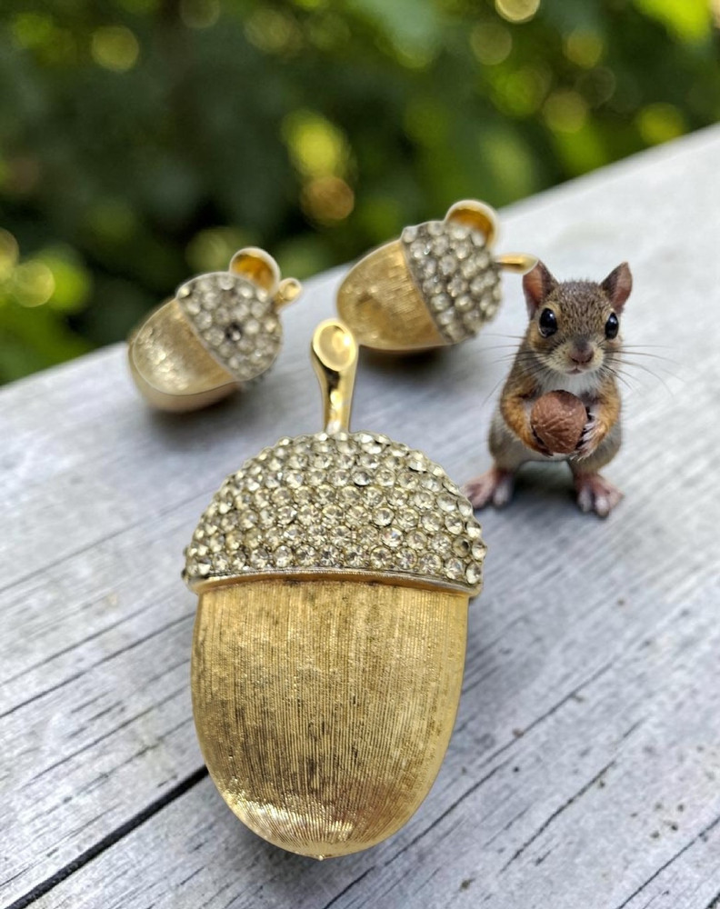Vtg Marvella Acorn Brooch & Clip Earrings Rhinestone Autumn Jewelry Naturecore