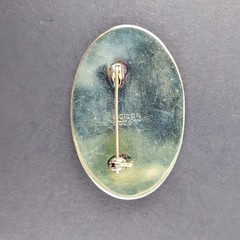 Vintage Alpaca Mexico Abalone Floral Brooch