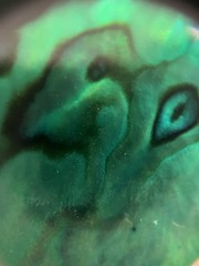 Vintage Ocean Emerald Green Abalone Shell Oval Brooch Pin In Box Iridescent