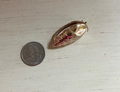 Vintage Conch Sea Shell Gold tone Hinged Scarf Clip 🐚