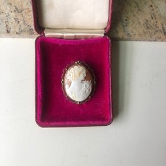 Beautiful Shell Cameo Brooch / Pendant , Vintage or Antique, Filagree Bezel