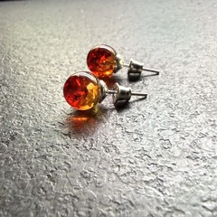 Unique silver Natural dyed Amber Earrings 2g 10mm