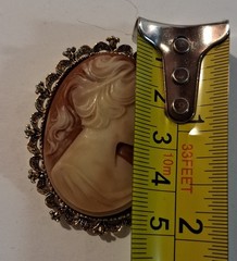 Gerry’s Signed Vintage Faux Resin Cameo Framed Woman Brooch Pin Pendant