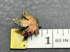 Vintage Maple Leaf Enamel Small Lapel Pin Multicolor Gold Tone C Clasp Canada