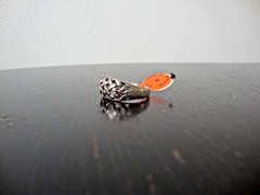 VINTAGE 1970-80s OPENWORK 3D WEAVED DOME RING STERLING SILVER STAMPED 925 SZ 8