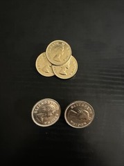 Vintage Queen Elizabeth II Coin Ear Rings & Brooch 1958 1959 Uncirculated