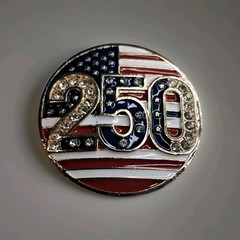 USA 250 Gold Toned Brooch Pin