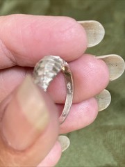 925 Sterling Silver Vintage Diamond-Cut Ribbed Ring Size 5.5 Lightweight
