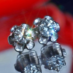 14k white gold earrings 0.50ct natural diamond screwback flower stud 1.95g N3762