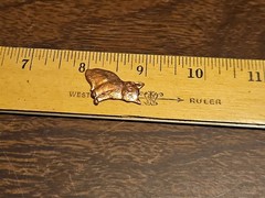 Lot 100 Matching Cats R L France Vintage 60s Brass Stampings Findings Jewelry