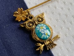 Vtg – Antique Stick Pin Lot Enamel Rhinestone Cloisonne Locket Costume Jewelry