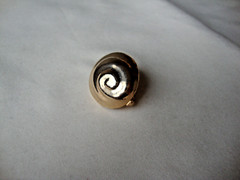 VTG 1970s SPIRAL SEASHELL GOLD TONE HINGED W/SAFETY CATCH DRESS/SCARF CLIP