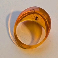 AMBER LUCITE RING SIZE APROX 8.5 With ANT ENCASED IN RESIN