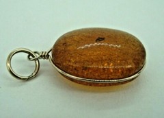 VINTAGE ANTIQUE BALTIC AMBER PENDANT W/INSECT BUG FOSSIL & GOLD TONE WIRE FRAME
