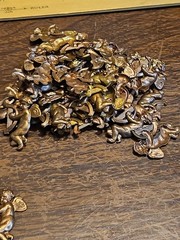 Lot Of 100 Matching Cherubs France Vintage 60s Brass Stampings Findings Jewelry