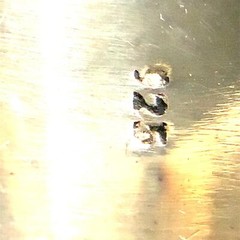 Vintage Sterling Signed 925 Rare Inlay Wood Art Deco Signet Ring Band size 7 1/4
