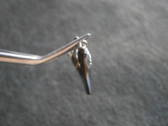 Genuine Black Shark Tooth Fossil Vintage Silvertone Mount Charm Pendant